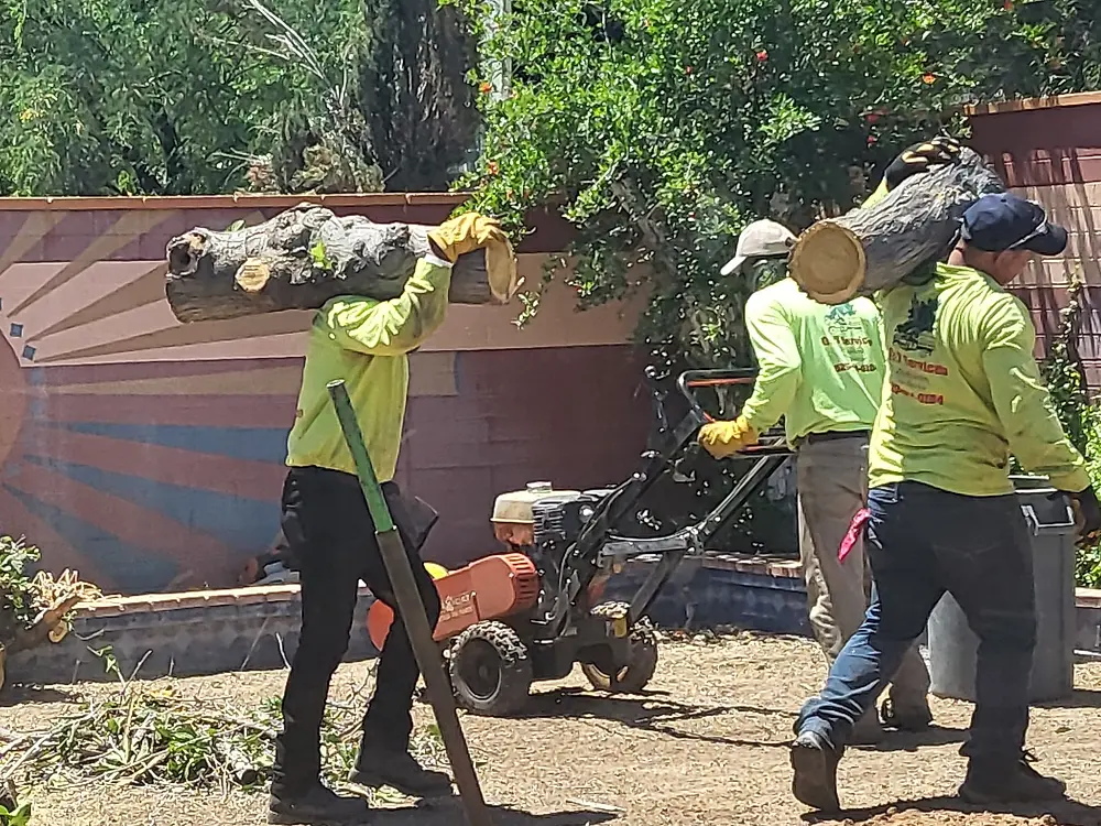 Crew in hi-vis shirts carrying cut logs out of a backyard with a stump grinder